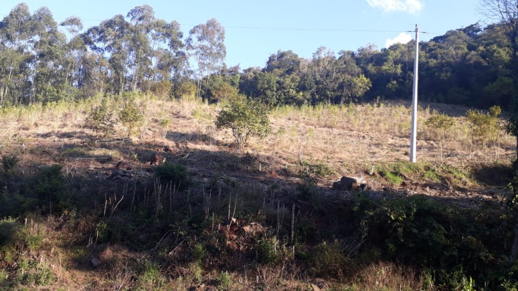 Area Rural