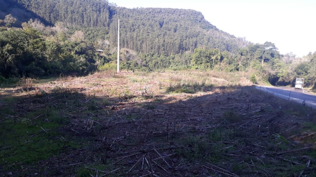 Area Rural