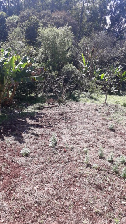 Area Rural