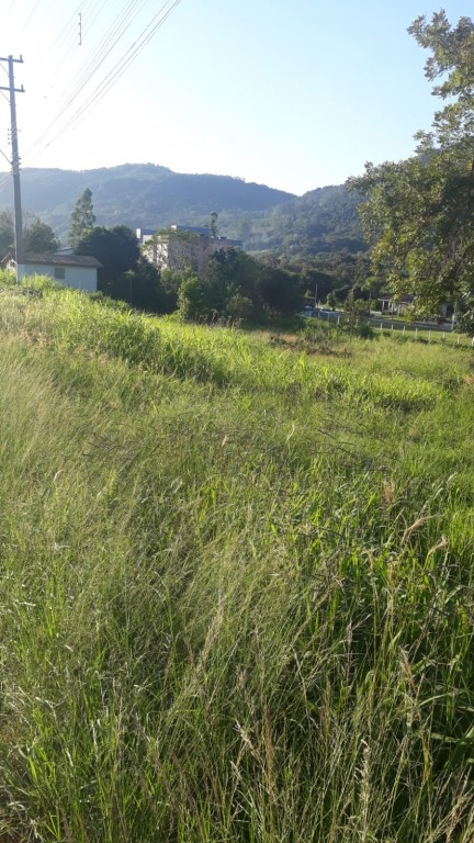 Terreno