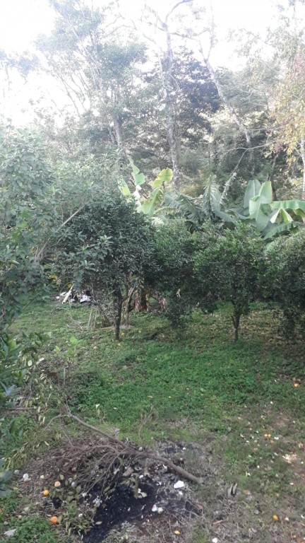 sitio