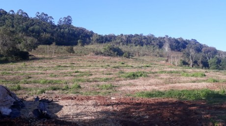 Area Rural