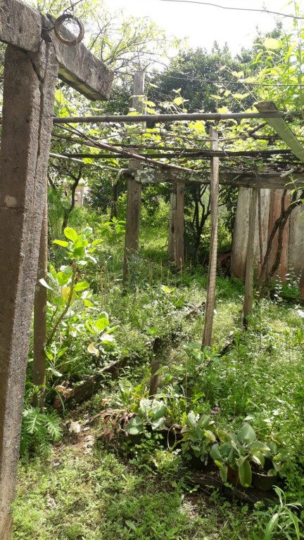 casa madeira