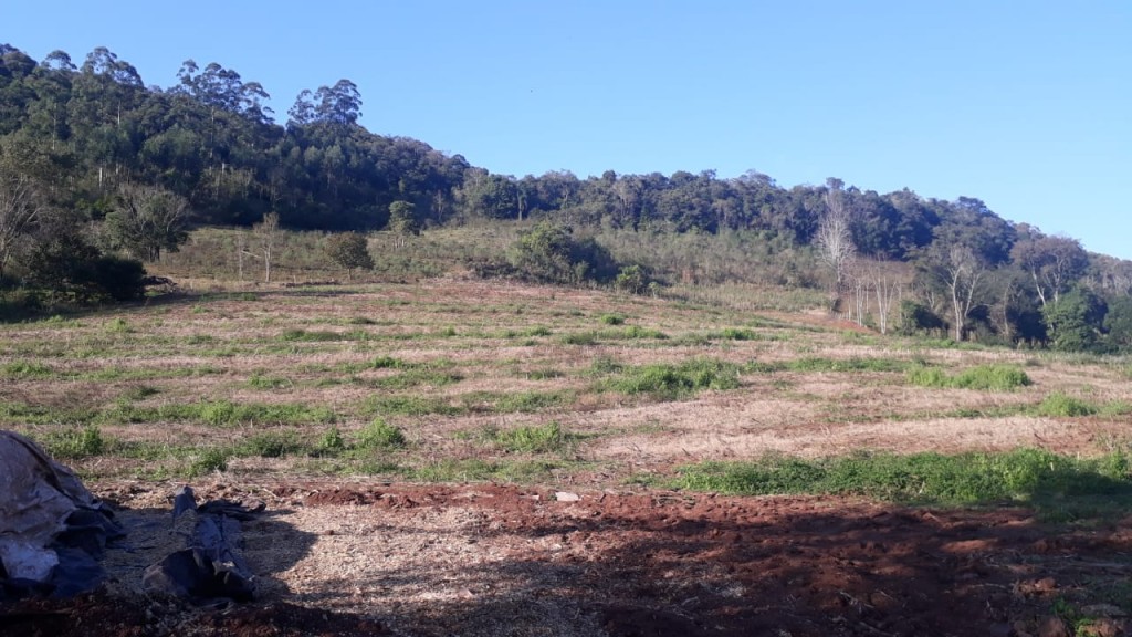 Area Rural